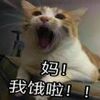 è��������ԭͼ���ְ�