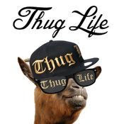 thug+lifeios