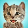 Little Kitten��׿���°�(����)