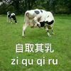 ���ܲ��������������������