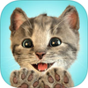 Little Kitten��׿���°�