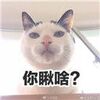 ���ɶè�����������