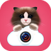�����������app