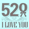 520ף�����ȫ2017���°�