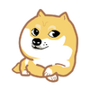 ��Ļ��app��׿��
