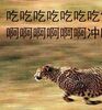 �Է��˿�尡�����