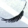 pinue֮ս1.4