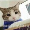���߰����費���Ҹ�ɵ���涯̬������ˮӡ��