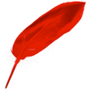 iCalamus for mac