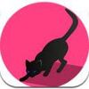 ���α���app