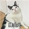 ��Ƥè��ɰ�����ͼƬ������ˮӡ