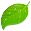 Coda 2 for mac