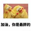 �����������ֵ������ֵܱ������ˮӡ��