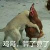 �����������˱�����������桿