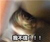 è��ħ�Ժ�ͼ�������ˮӡ�����