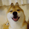 �ö���Ȯ����ϵ�б����
