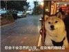 ��Ȯ�����������������ˮӡ��