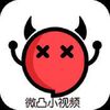΢͹С��Ƶapp�ֻ���(��δ����)