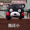 ��һ��ͯ�ڶ�ͼ����������ͯ��