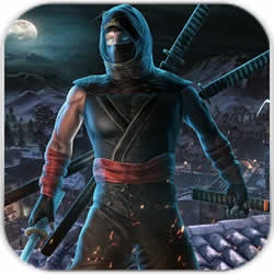 Ninja War Hero(սӢϷ)v1.0 ׿