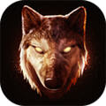 The Wolf(Ⱥģwolfİ)
