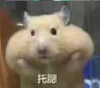 ˫������qq�����ʲô��˼��ˮӡ