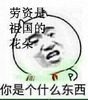 ʮ��ǰʮ���ͼƬ�������桿