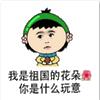 ʮ��ǰʮ�������