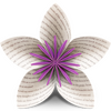 Vellum for mac