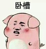 ���������������ˮӡ