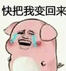 ΢�ű��������������Ӧ