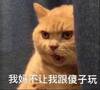 ���費���Ҹ�ɵ��������