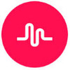 muse���ֶ���Ƶ