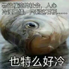 ��Ϊʲô�ᷢ������Ĺ�����