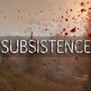 Subsistence�����޸���