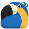 �����app