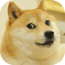 单身狗斗图神器appv1.0.3