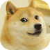��������ͼ����app