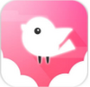 ��֮����Ϸ(Light Bird)