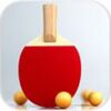 Virtual Table Tennis(����ƹ����2)