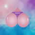 ����app(��δ����)