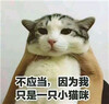 ��Ӧ����Ϊ��ֻ��һֻСè��ʲô�������