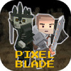 ���ص�Ƭ��PIXEL F BLADE�����İ�