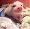 �ڴ��Ĵ����΢�ű�����ˮӡ