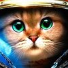 Armored Kitten��ʬ����