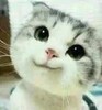 ħ�������˱������ˮӡ