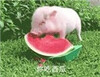 ��������΢�ű�����ˮӡ
