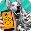 СԷ(Pet Translator)app