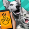 ���﷭��ģ����app