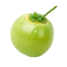 Ҭ�����app